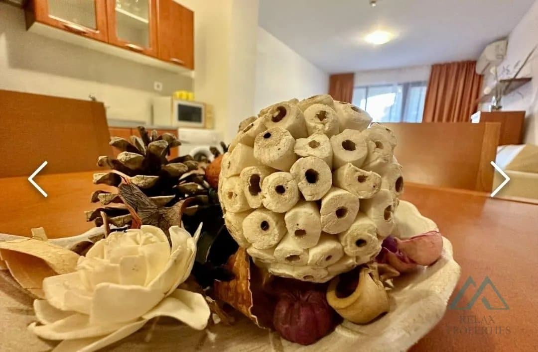 2-izbový apartmán v prvej morskej línii, Marina Cape Town, Aheloy, Bulharsko - foto 23