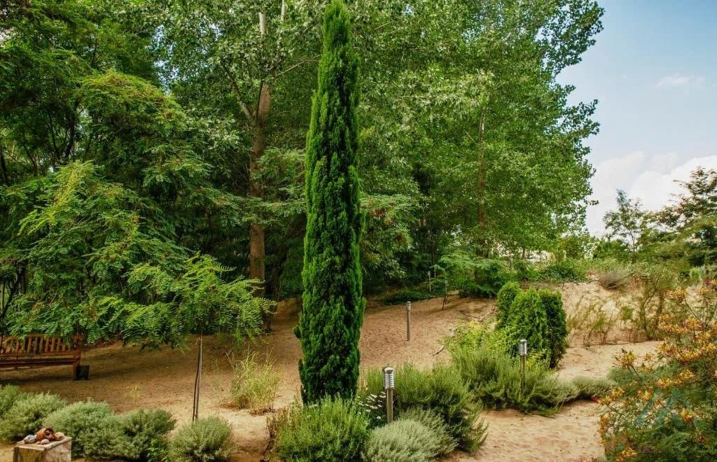 2-izbový apartmán priamo v prvej línii – Dune Residence, Slnečné pobrežie - foto 22