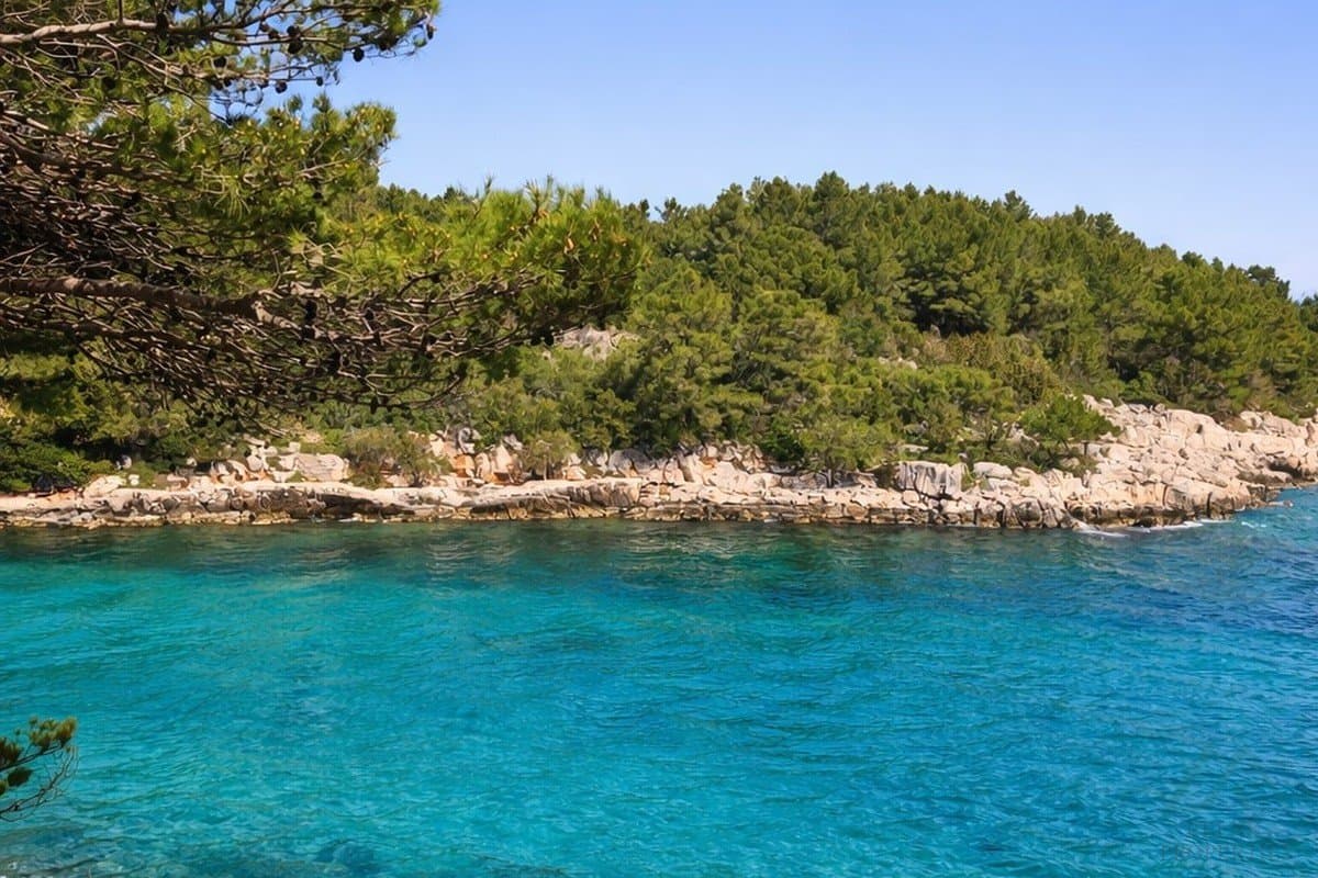 Rekreačný dom s bazénom, saunou a výhľadom na more – ostrov Hvar, 150 m od mora - foto 17