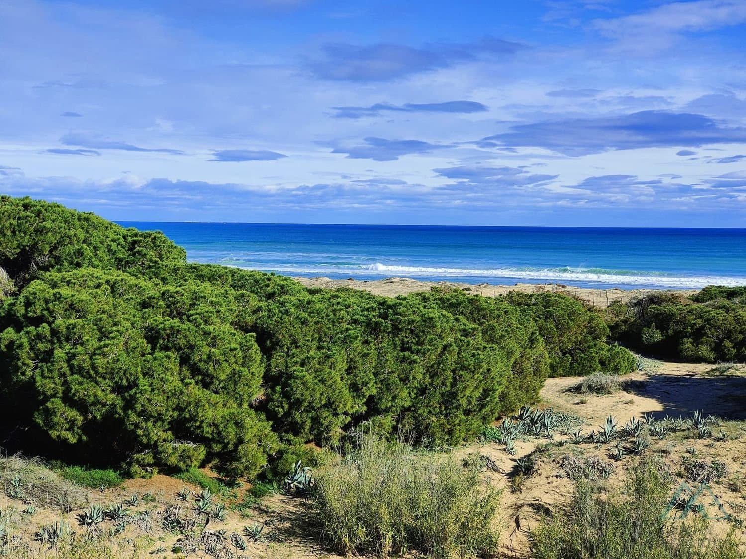 Apartmán s bazénom a terasou len 150 m od pláže La Mata, Torrevieja - foto 19