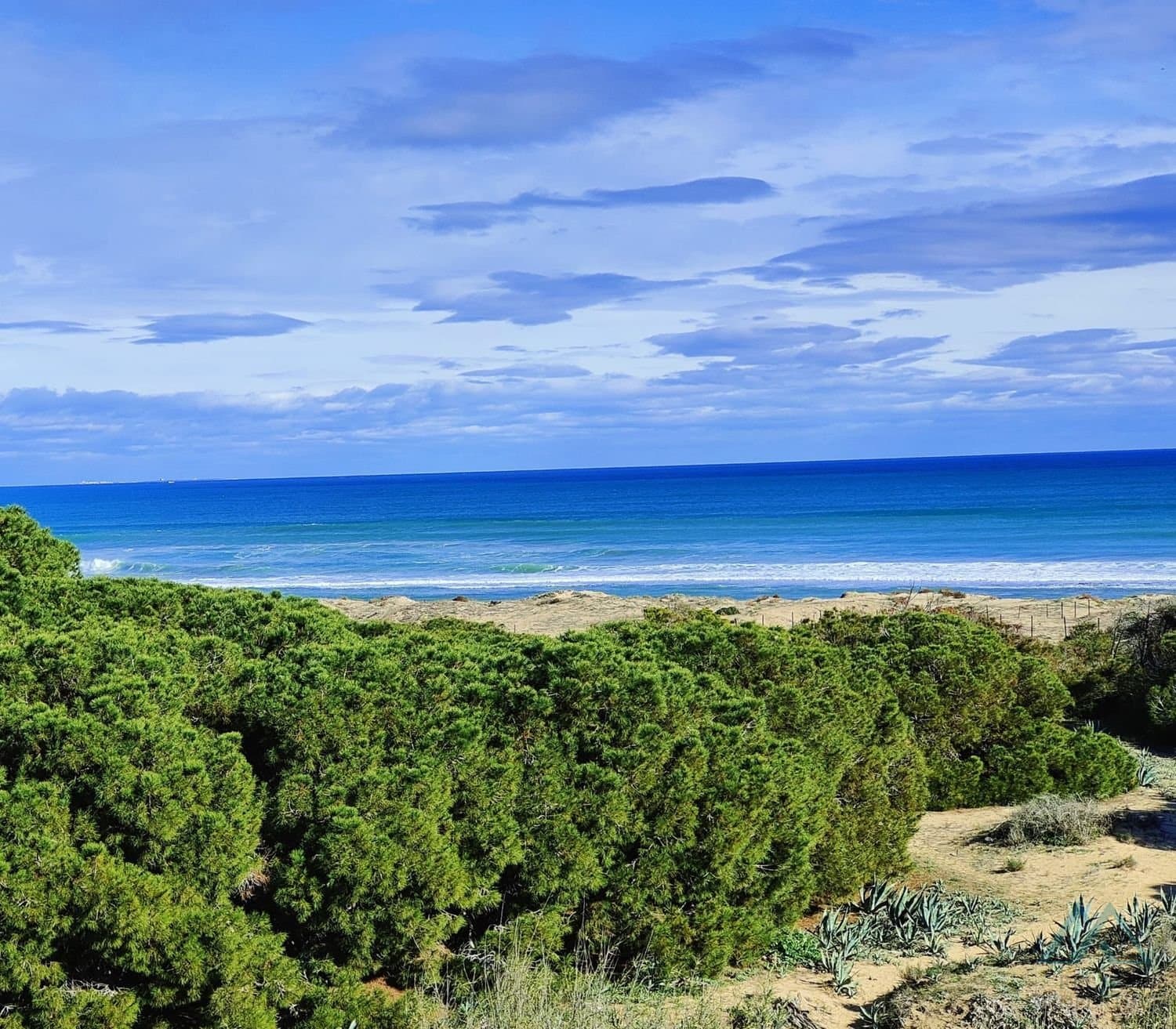 Apartmán s bazénom a terasou len 150 m od pláže La Mata, Torrevieja - foto 21