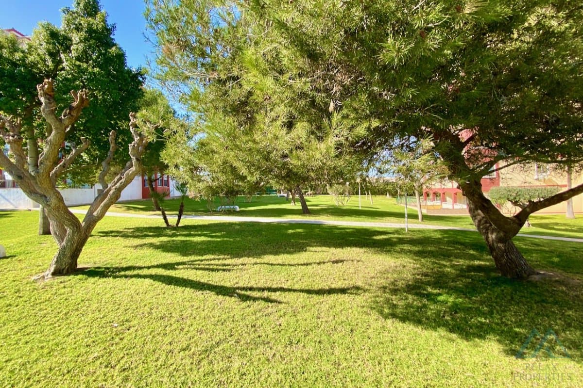Apartmán s presklenou terasou a výhľadom na more v komplexe Torresol, La Mata, Španielsko - foto 27