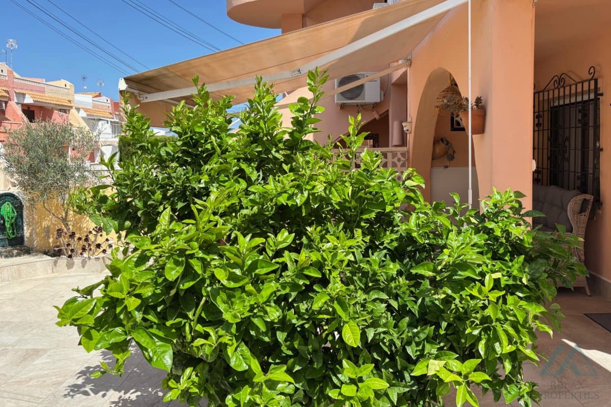 Apartmán s veľkou záhradou – La Rosaleda, Torrevieja - foto 20