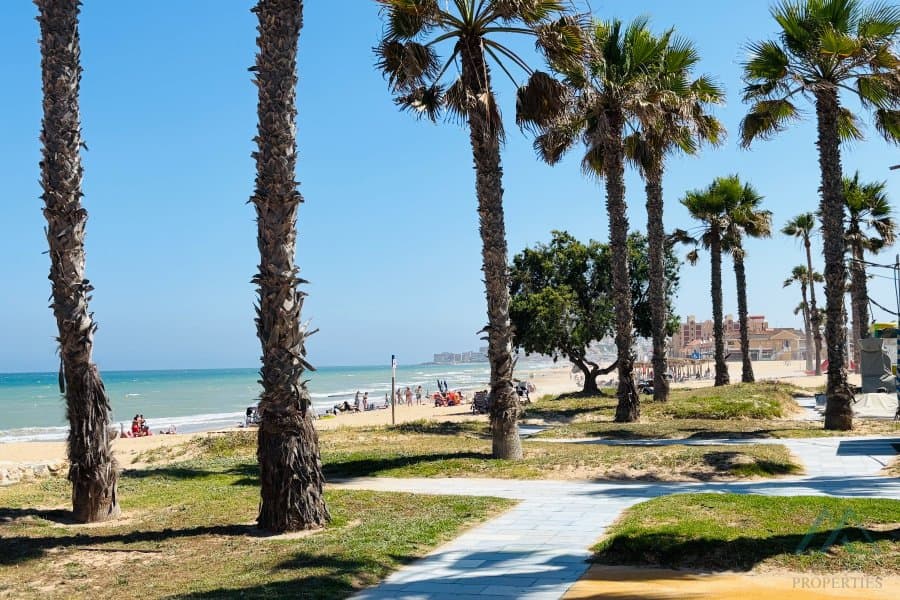 Apartmán v prvej línii top lokalita La Mata s výhľadom na more, len 85 m od pláže - foto 12